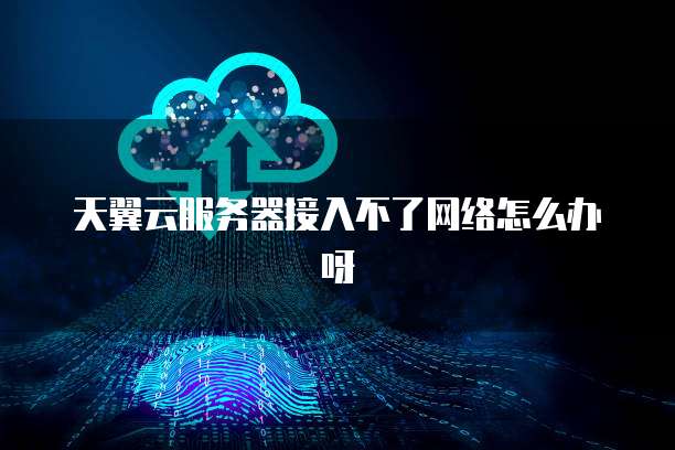 天翼云服务器接入不了网络怎么办呀