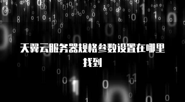 天翼云服务器规格参数设置在哪里找到