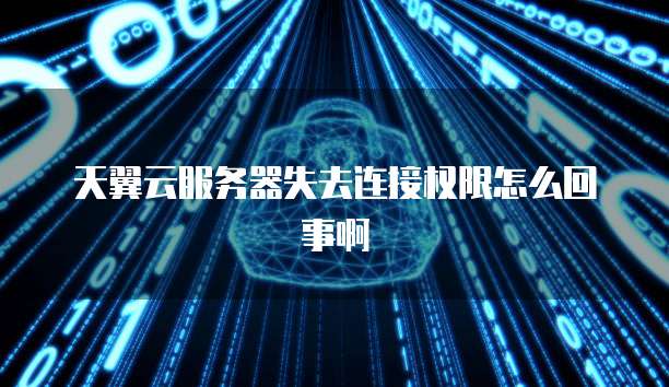 天翼云服务器失去连接权限怎么回事啊