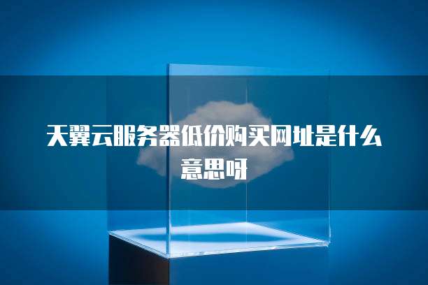 天翼云服务器低价购买网址是什么意思呀