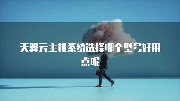 天翼云主机系统选择哪个型号好用点呢