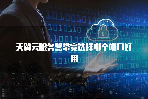 天翼云服务器带宽选择哪个端口好用
