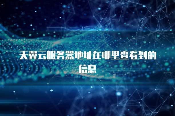 天翼云服务器地址在哪里查看到的信息