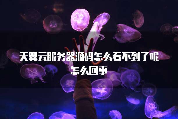 天翼云服务器源码怎么看不到了呢怎么回事