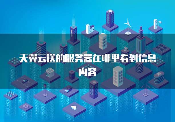 天翼云送的服务器在哪里看到信息内容