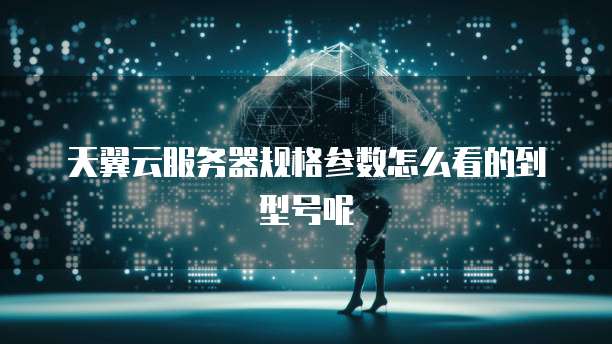 天翼云服务器规格参数怎么看的到型号呢