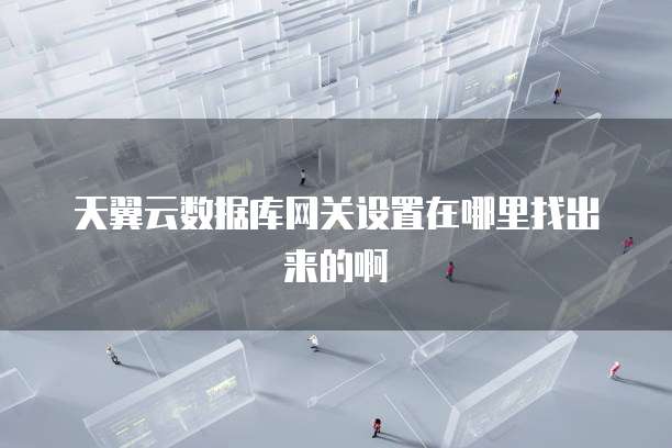 天翼云数据库网关设置在哪里找出来的啊