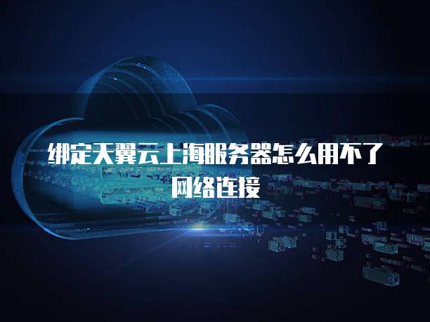 绑定天翼云上海服务器怎么用不了网络连接