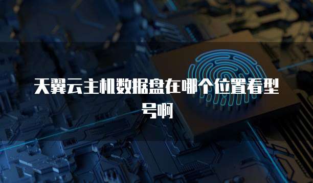 天翼云主机数据盘在哪个位置看型号啊