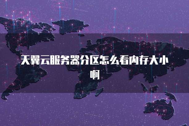 天翼云服务器分区怎么看内存大小啊