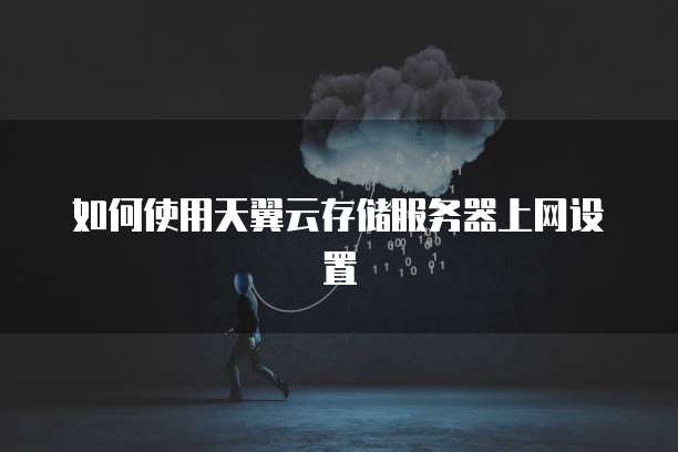 如何使用天翼云存储服务器上网设置