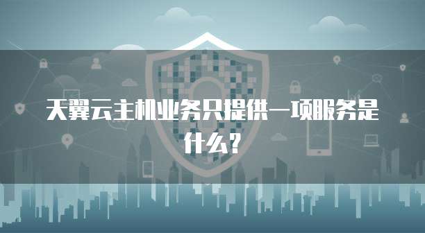 天翼云主机业务只提供一项服务是什么？