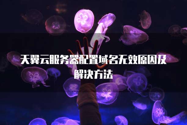 天翼云服务器配置域名无效原因及解决方法
