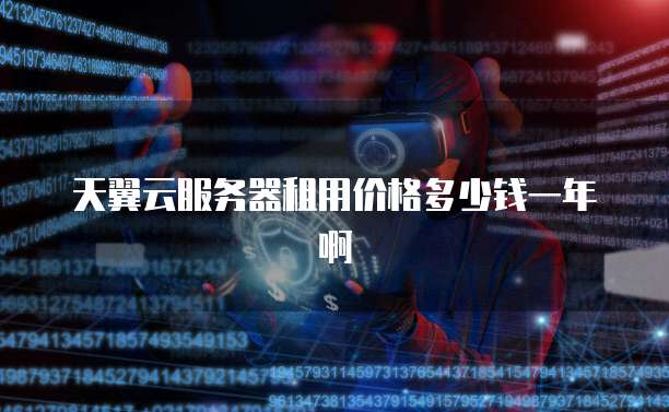 天翼云服务器租用价格多少钱一年啊