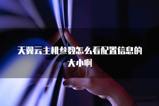 天翼云主机参数怎么看配置信息的大小啊