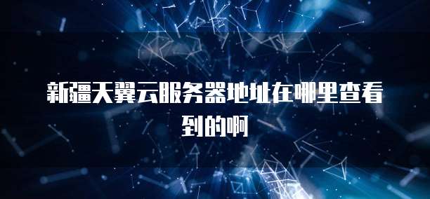 新疆天翼云服务器地址在哪里查看到的啊