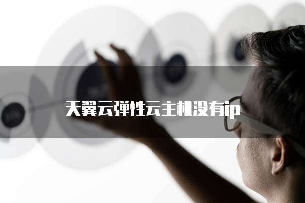 天翼云弹性云主机没有ip