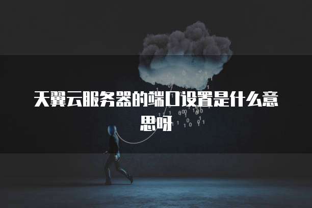 天翼云服务器的端口设置是什么意思呀