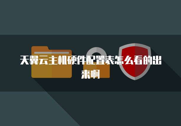 天翼云主机硬件配置表怎么看的出来啊