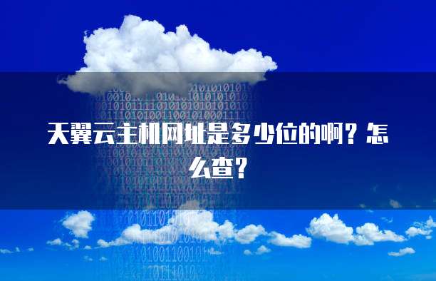 天翼云主机网址是多少位的啊？怎么查？