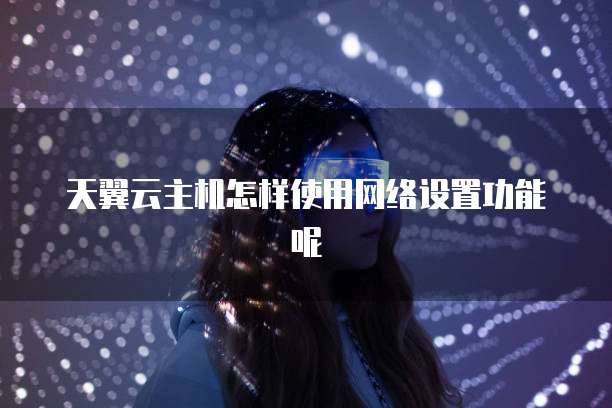 天翼云主机怎样使用网络设置功能呢