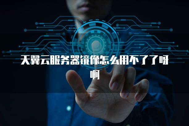 天翼云服务器镜像怎么用不了了呀啊