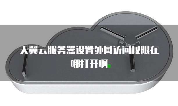 天翼云服务器设置外网访问权限在哪打开啊