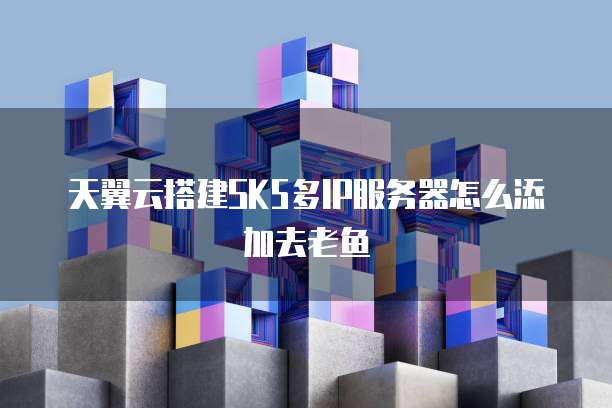 天翼云搭建SK5多IP服务器怎么添加去老鱼