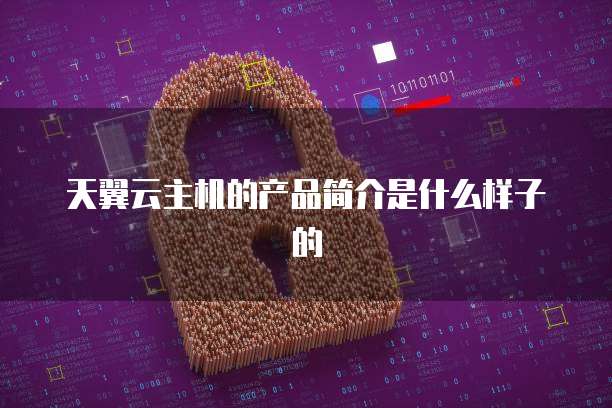 天翼云主机的产品简介是什么样子的