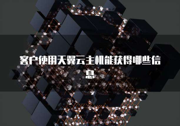 客户使用天翼云主机能获得哪些信息