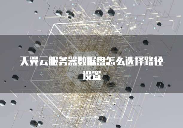 天翼云服务器数据盘怎么选择路径设置