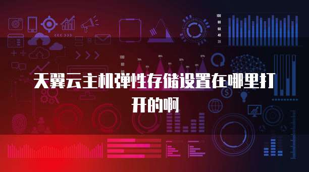 天翼云主机弹性存储设置在哪里打开的啊