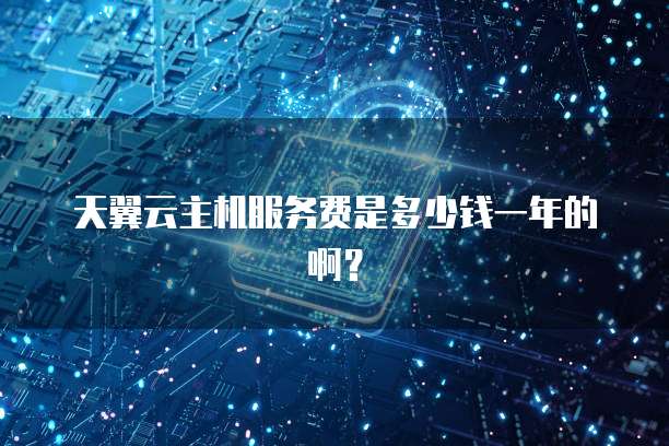 天翼云主机服务费是多少钱一年的啊？