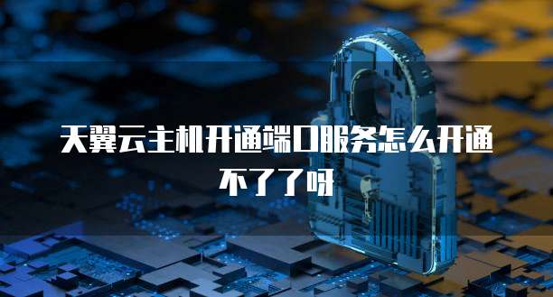 天翼云主机开通端口服务怎么开通不了了呀