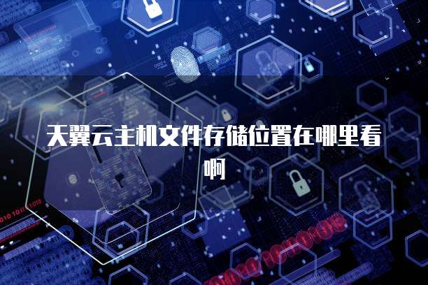 天翼云主机文件存储位置在哪里看啊