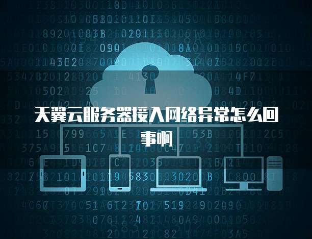 天翼云服务器接入网络异常怎么回事啊