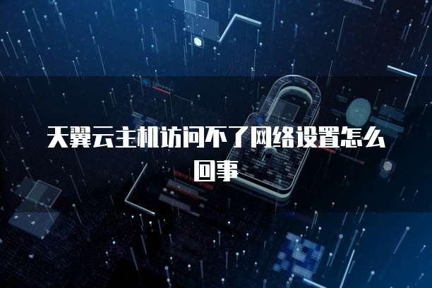 天翼云主机访问不了网络设置怎么回事