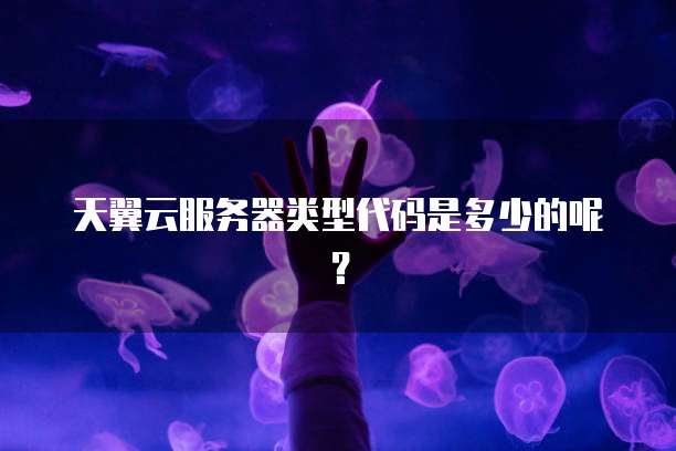 天翼云服务器类型代码是多少的呢？
