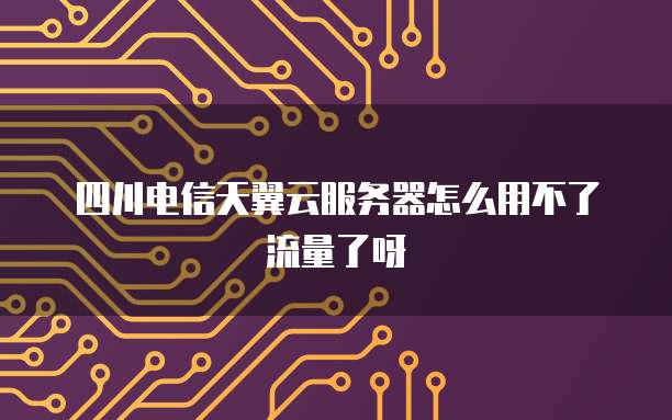 四川电信天翼云服务器怎么用不了流量了呀
