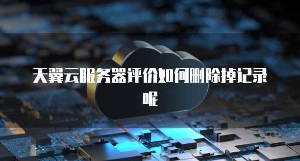 天翼云服务器评价如何删除掉记录呢