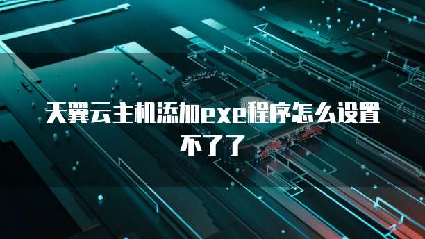 天翼云主机添加exe程序怎么设置不了了