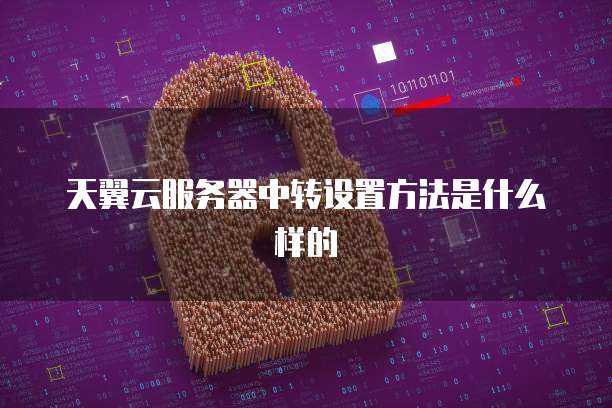 天翼云服务器中转设置方法是什么样的