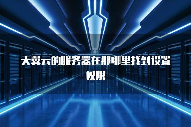 天翼云的服务器在那哪里找到设置权限
