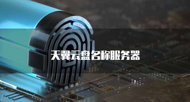 天翼云盘名称服务器