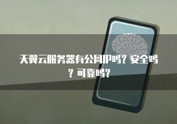 天翼云服务器有公网IP吗？安全吗？可靠吗？