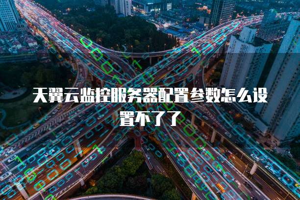 天翼云监控服务器配置参数怎么设置不了了