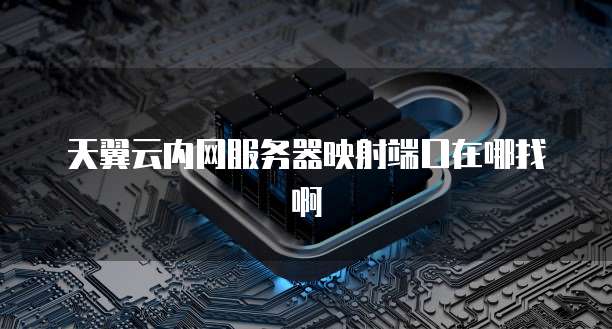 天翼云内网服务器映射端口在哪找啊