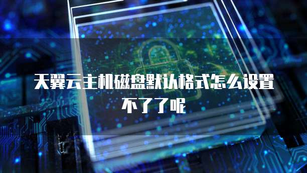 天翼云主机磁盘默认格式怎么设置不了了呢