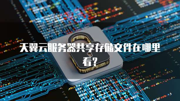 天翼云服务器共享存储文件在哪里看？