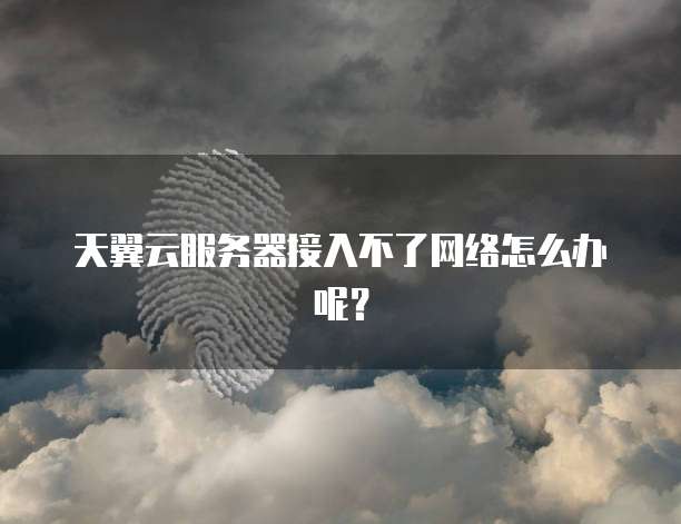 天翼云服务器接入不了网络怎么办呢？